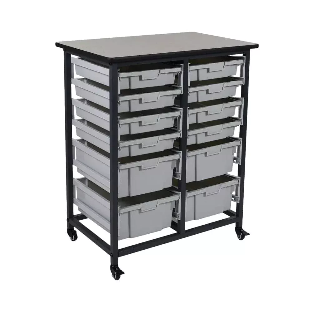Mobile Bin Storage Unit Two Wide (Large and Small Bins)