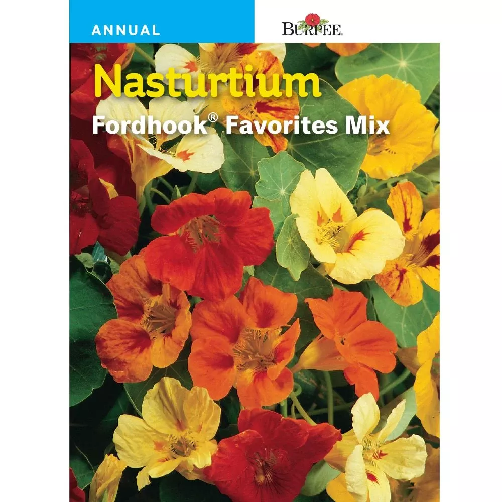 Nasturtium Fordhook Favorites Mix Seed Packet - Vibrant Flowering Seeds For Gardens