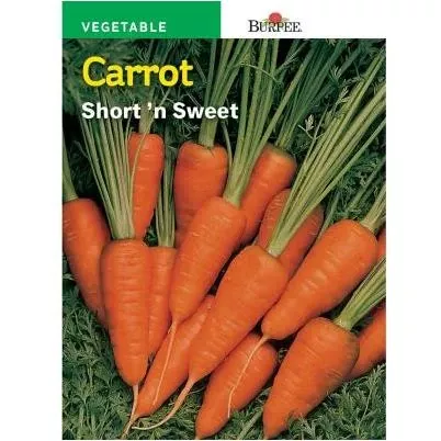 Short ’n Sweet Carrot Seeds – Compact, Sweet-flavored Roots