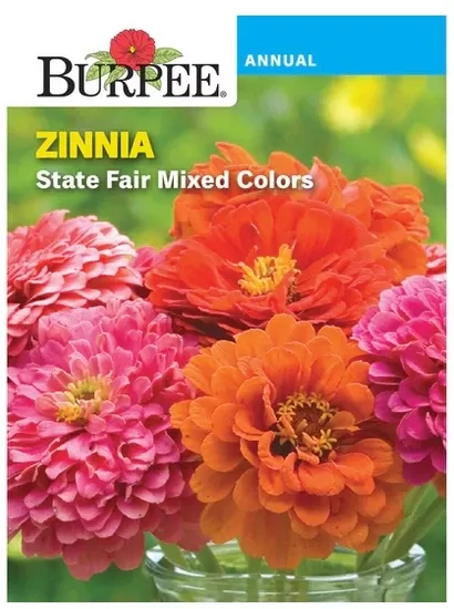 Zinnia Seed - Mixed Colors, 650 Mg, Annual, 36" Height